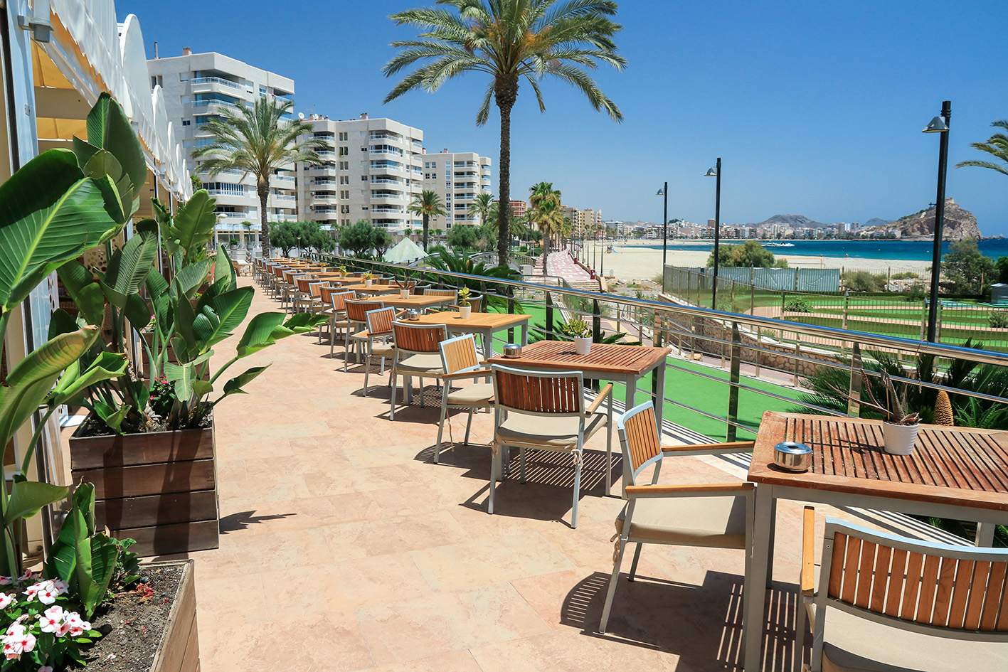 002_alta_senatoráguilas Terraza.jpg